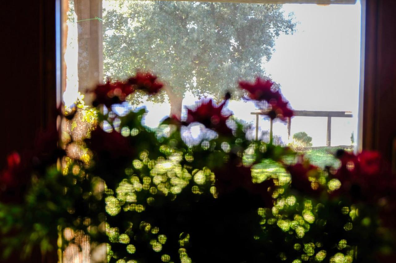 Agriturismo Poggio Monte Сатурния Экстерьер фото